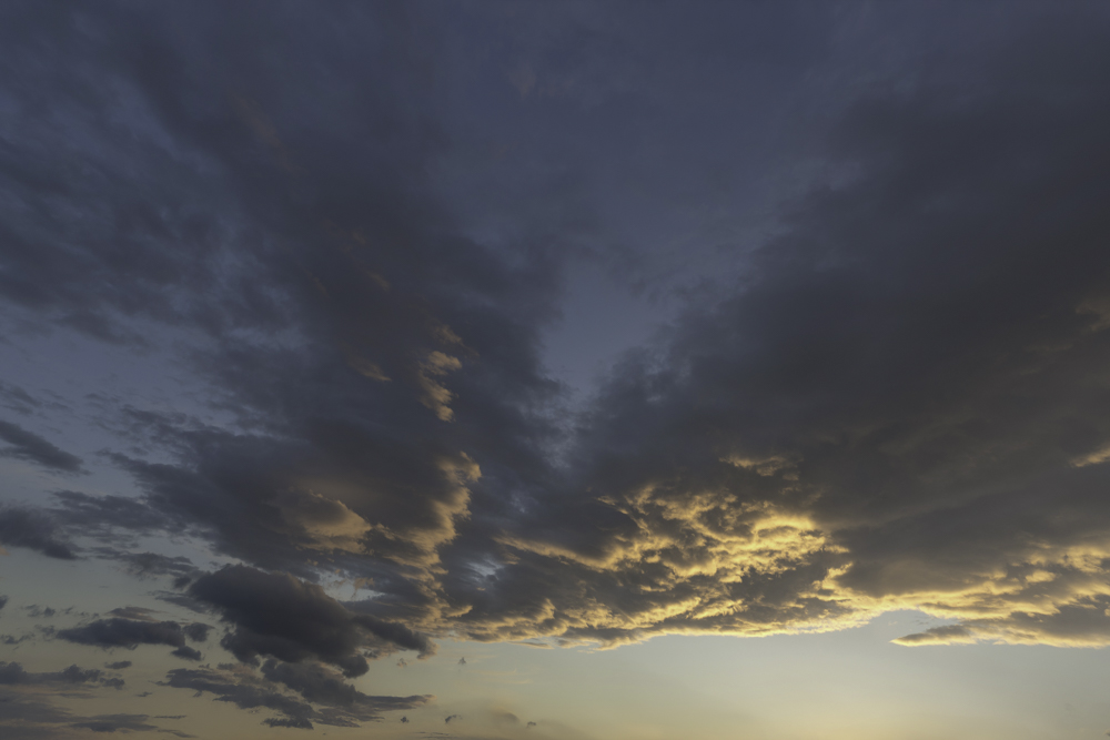 Serene Horizons (59)