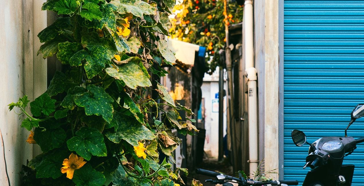 Presets: Retro-Viertel für Luminar | Marktplatz(44)