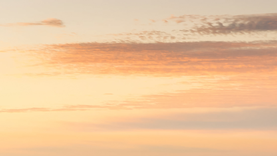 Beneath Pastel Skies(52)