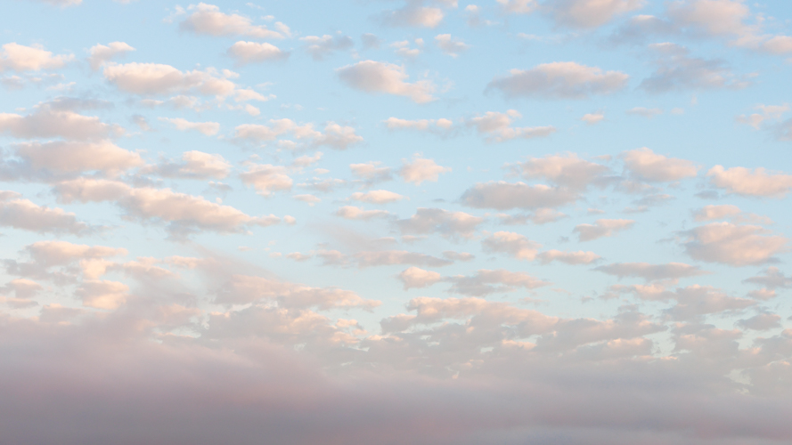 Beneath Pastel Skies(54)