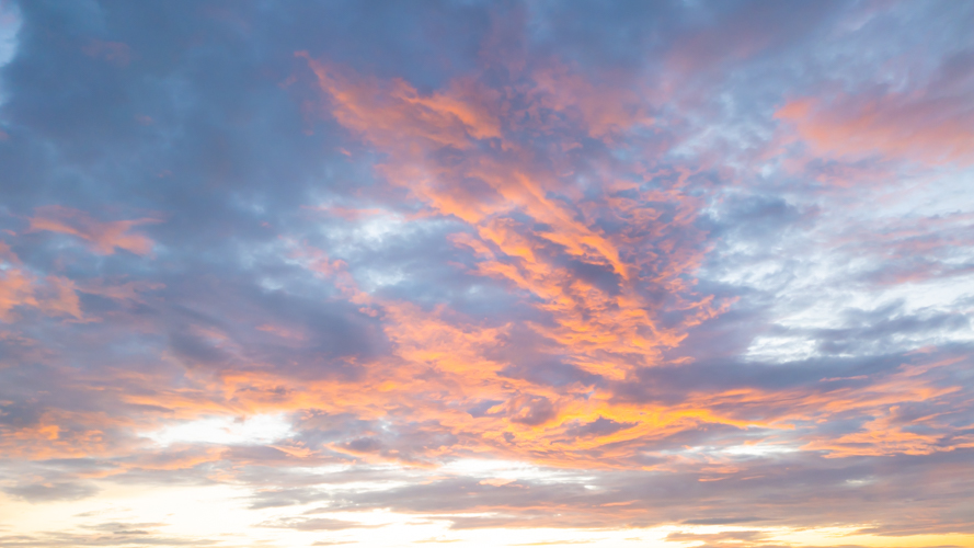 Beneath Pastel Skies(55)