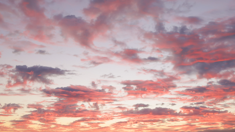 Beneath Pastel Skies(57)