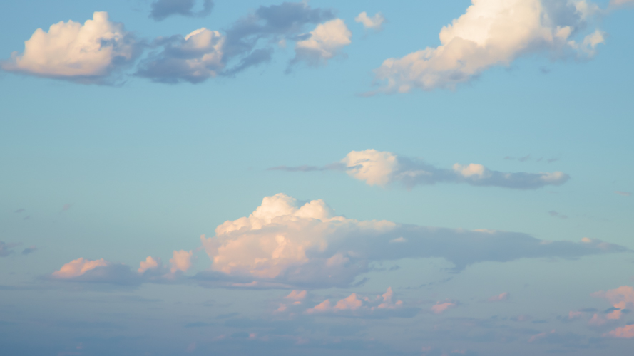 Beneath Pastel Skies(58)