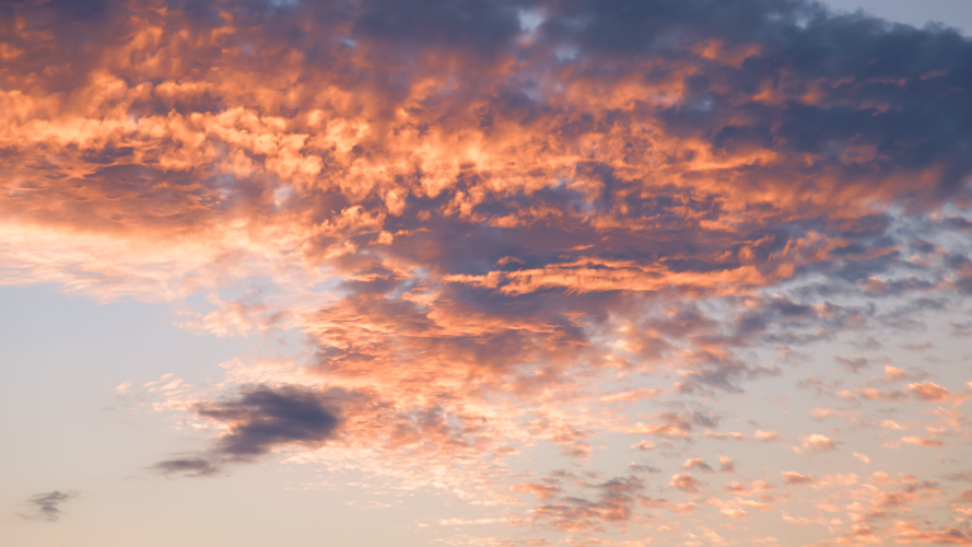 Beneath Pastel Skies(59)