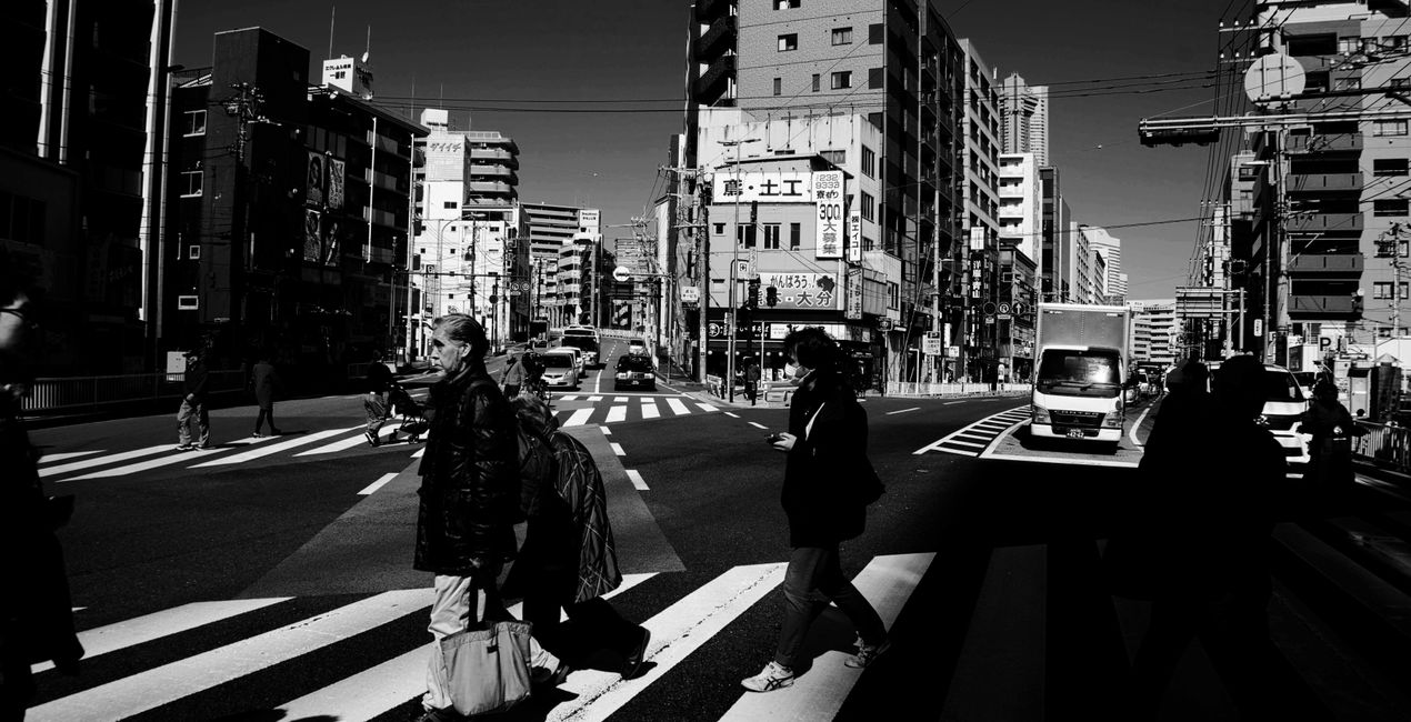 Street Monochrome Presets voor Luminar | Marketplace(42)