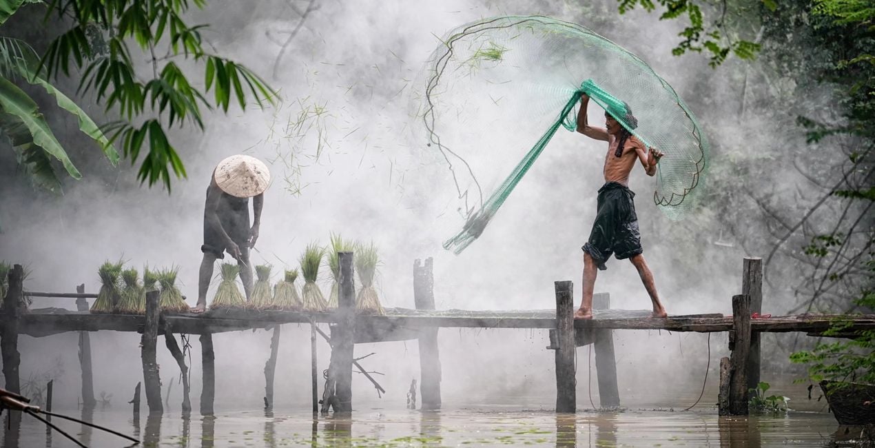 Sebastião Salgado Tribute Presets voor Luminar | Marketplace(41)