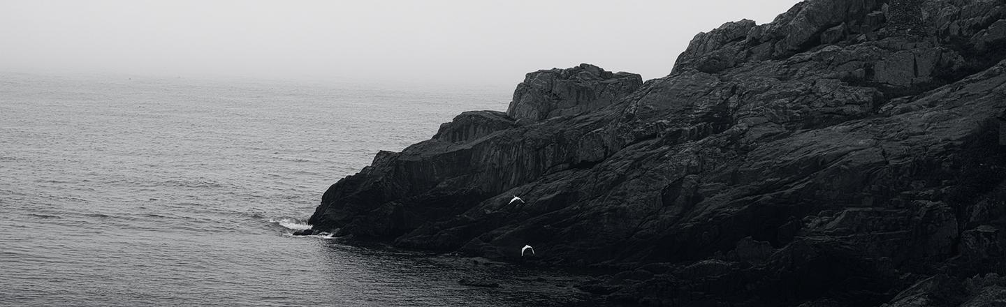 Monochrome Echo — slide 1