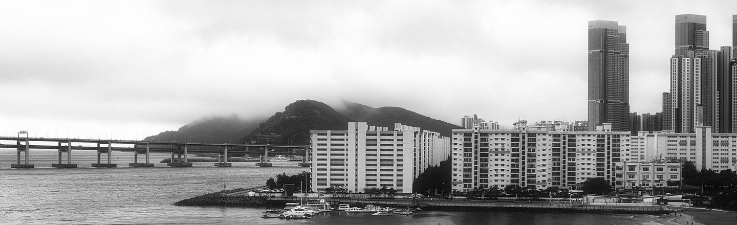 Monochrome Echo — slide 2
