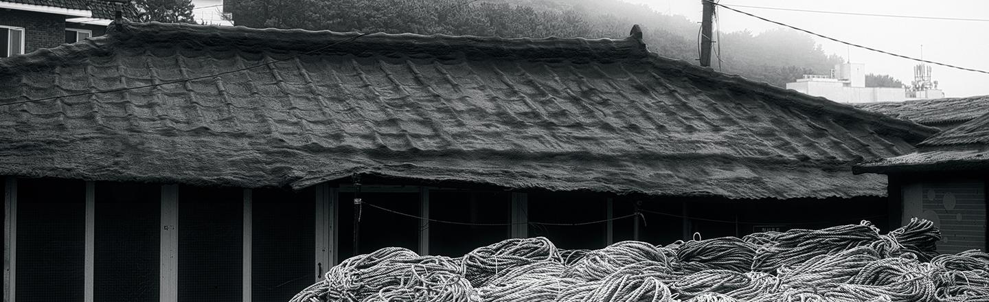Monochrome Echo — slide 3