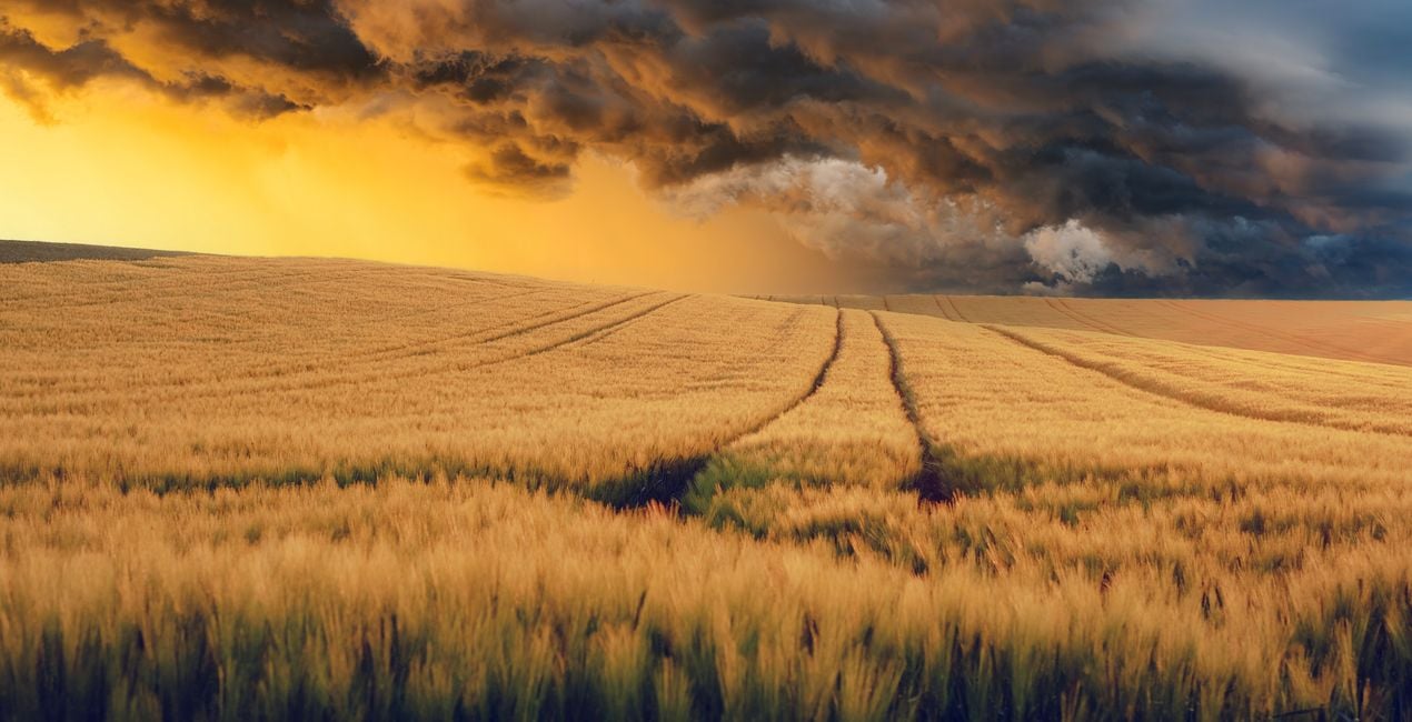 Cloudburst Drama (40)