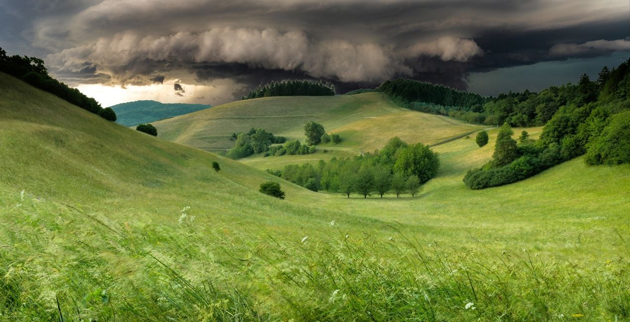 Eye of the Storm(40)