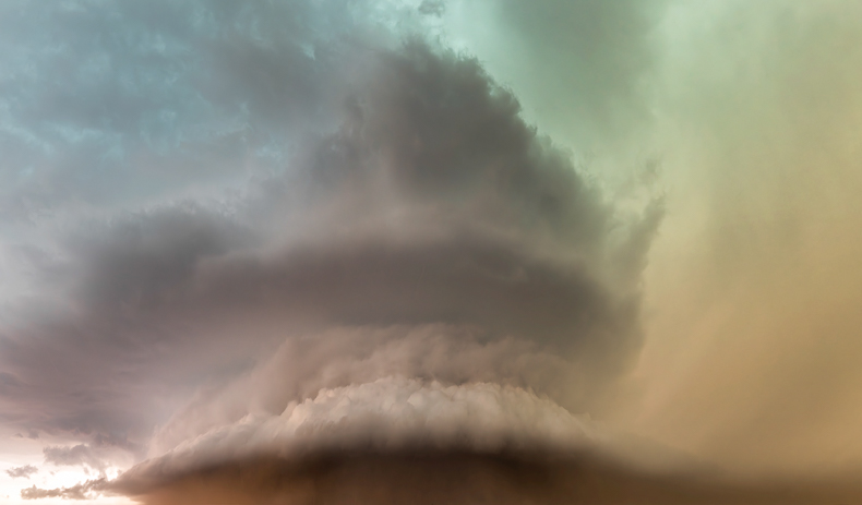 Im Auge des Sturms(50)