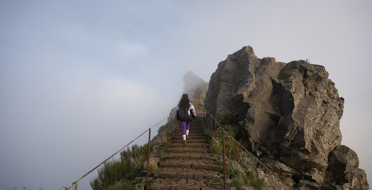 Nomad Colors LUTs | Luminar Marketplace(39)