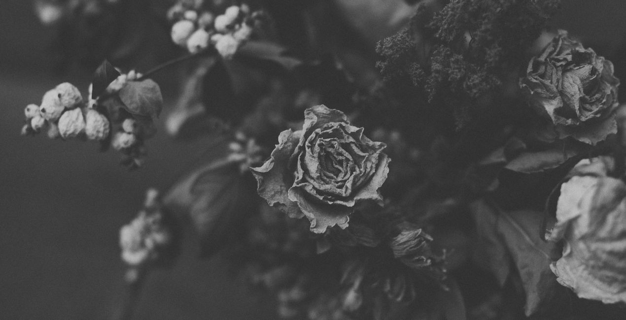 Preset Nuovo nero per Luminar | Marketplace(42)