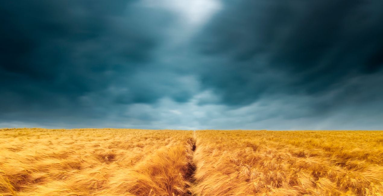 Skies in Motion(48)
