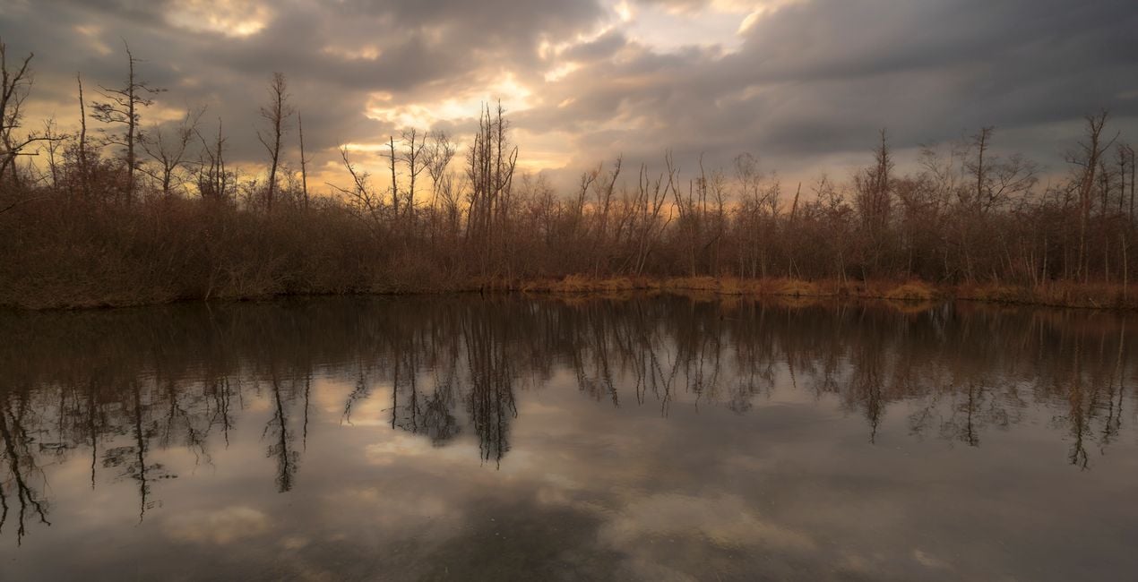 Skies in Motion(46)