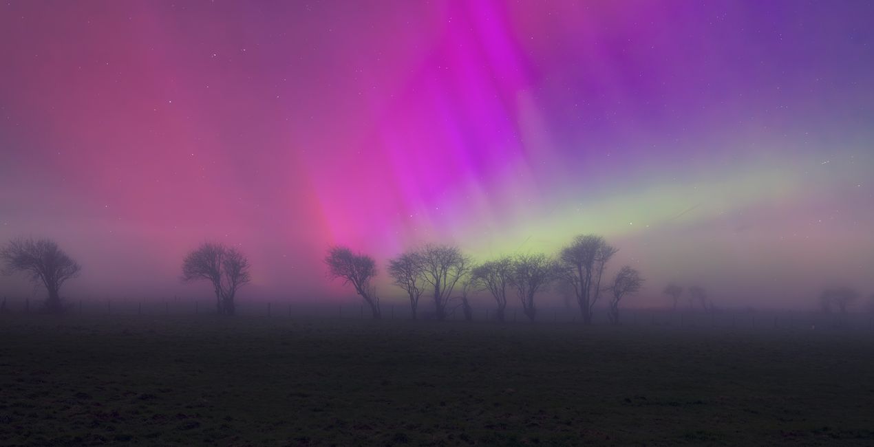 Starlit Curtains (44)