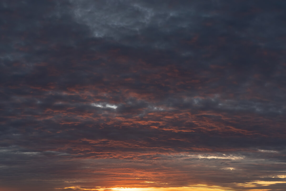 European Horizons | Luminar Marketplace(49)