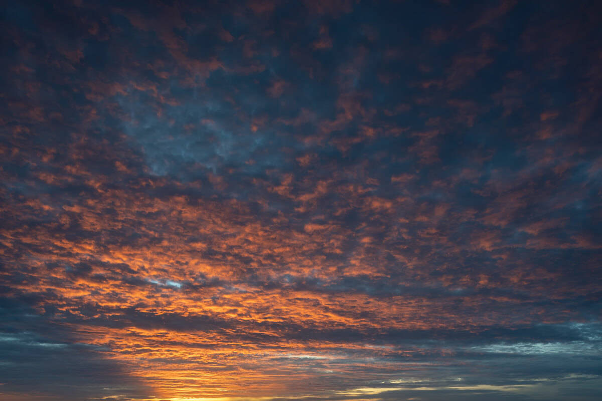 European Horizons | Luminar Marketplace(50)