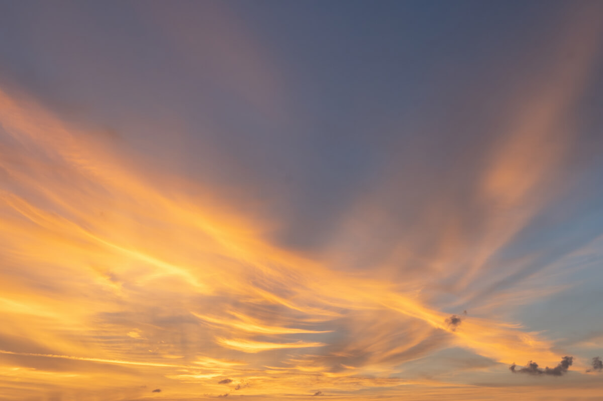 European Horizons | Luminar Marketplace(54)