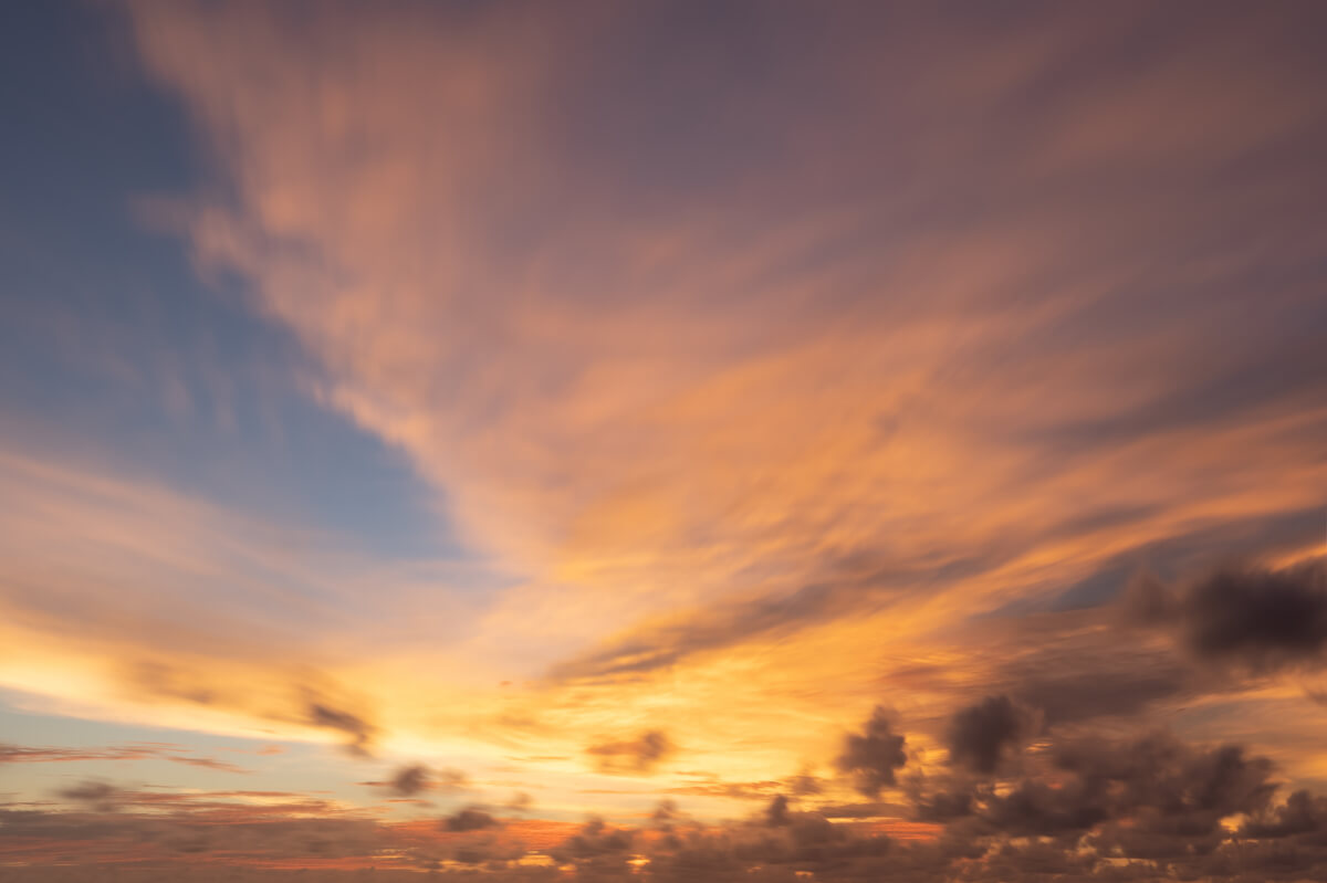 European Horizons | Luminar Marketplace(58)