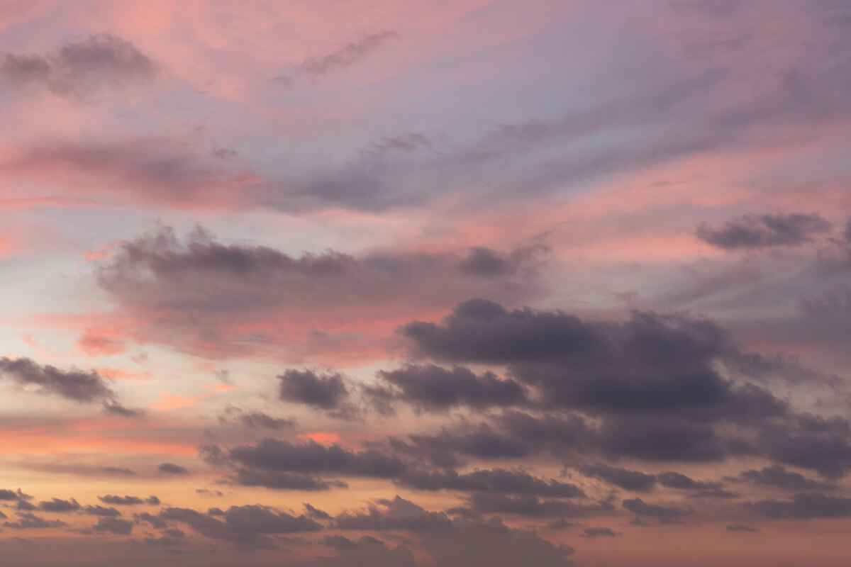 European Horizons | Luminar Marketplace(60)