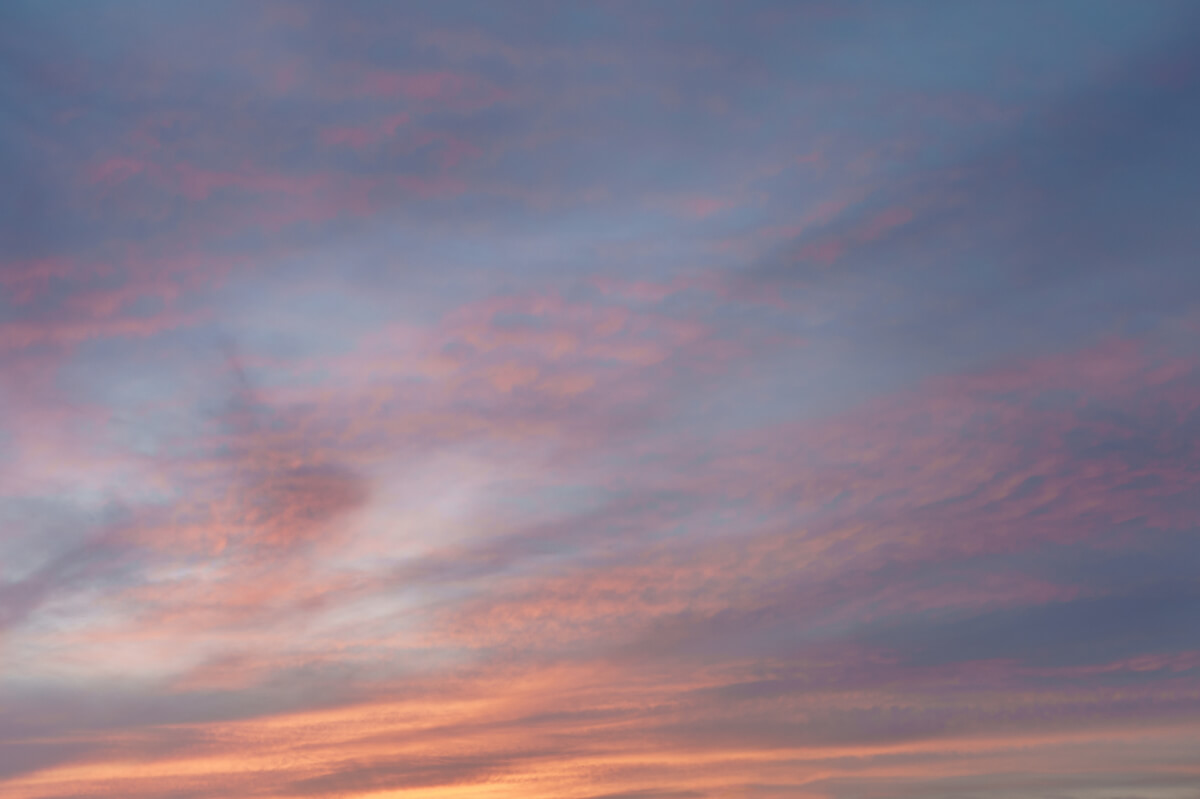 European Horizons | Luminar Marketplace(62)