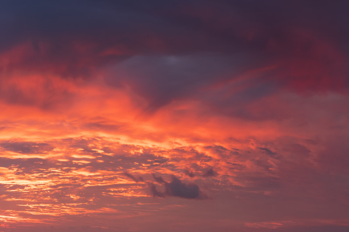 European Horizons | Luminar Marketplace(65)