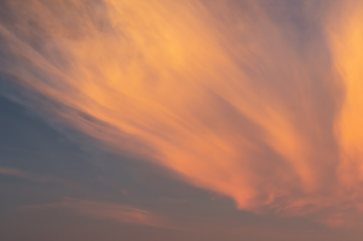 European Horizons | Luminar Marketplace(68)