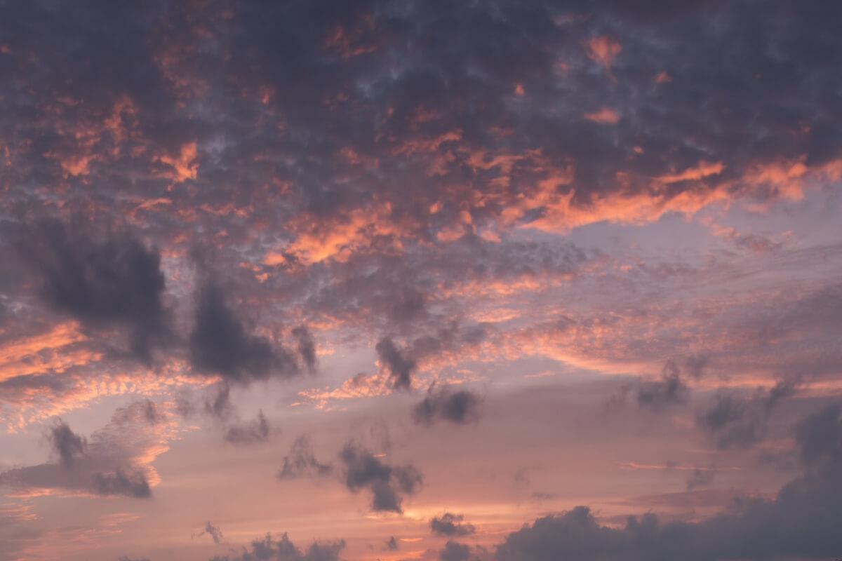 European Horizons | Luminar Marketplace(69)