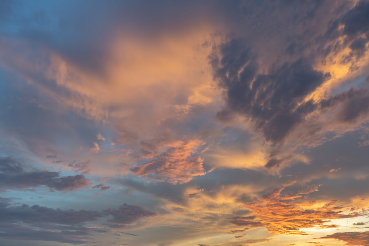 European Horizons | Luminar Marketplace(70)