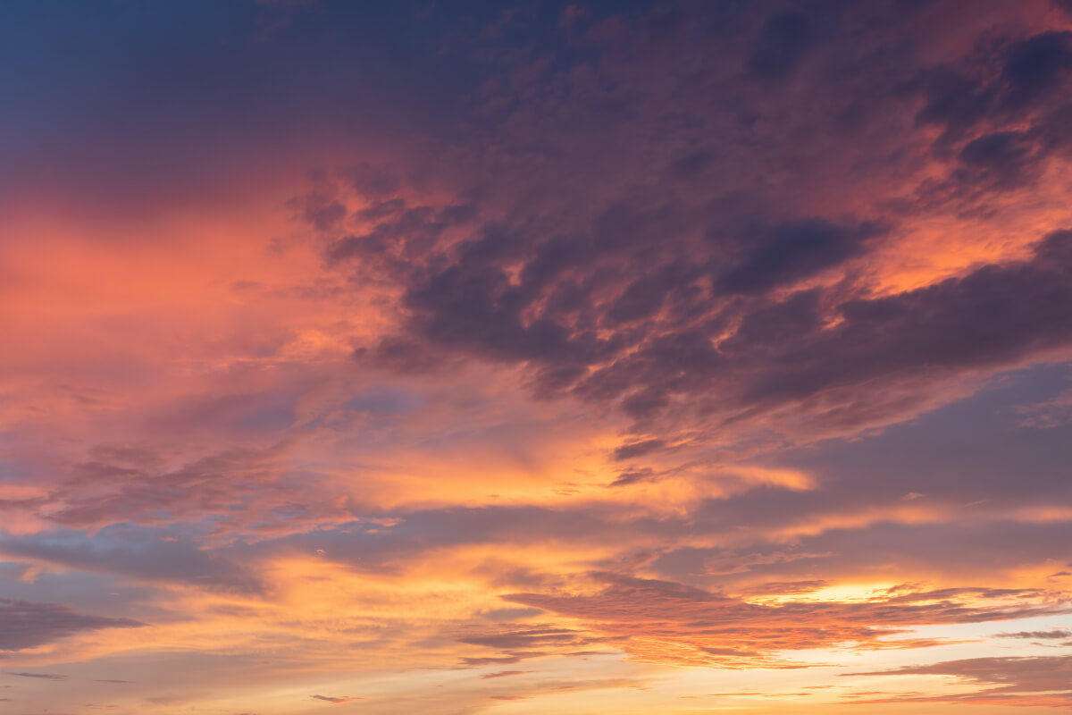 European Horizons | Luminar Marketplace(71)