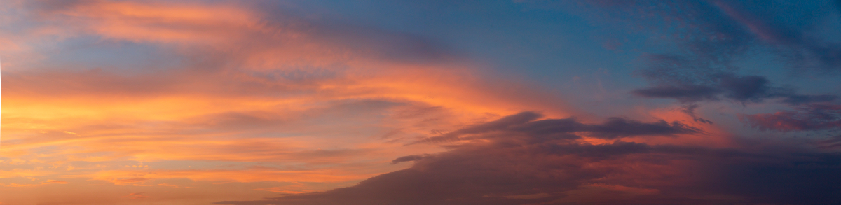 Last Day of Summer | Luminar Marketplace(50)