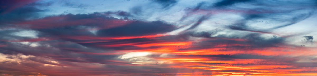 Last Day of Summer | Luminar Marketplace(52)