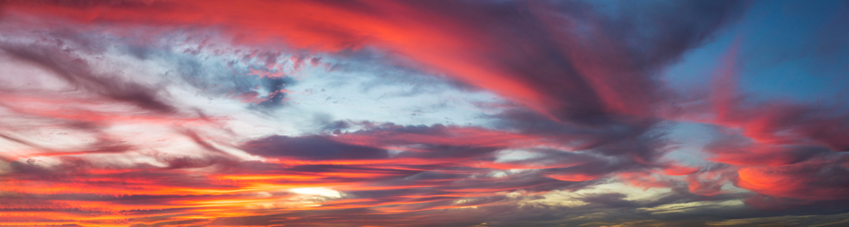 Last Day of Summer | Luminar Marketplace(53)