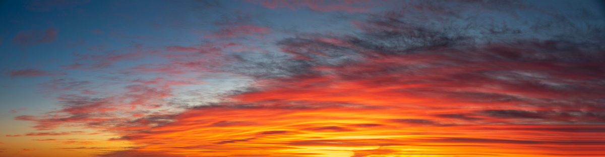 Last Day of Summer | Luminar Marketplace(55)