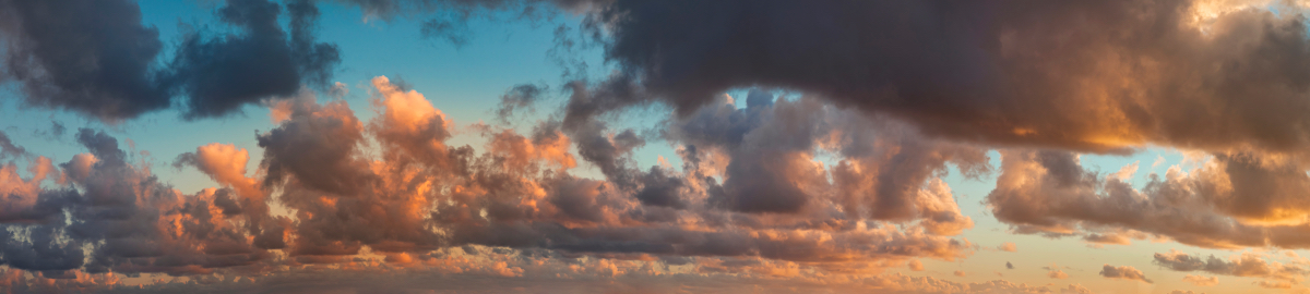 Last Day of Summer | Luminar Marketplace(61)