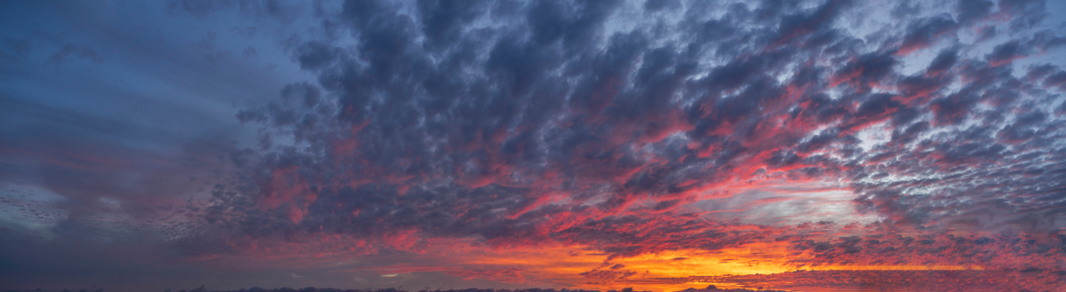 Last Day of Summer | Luminar Marketplace(64)