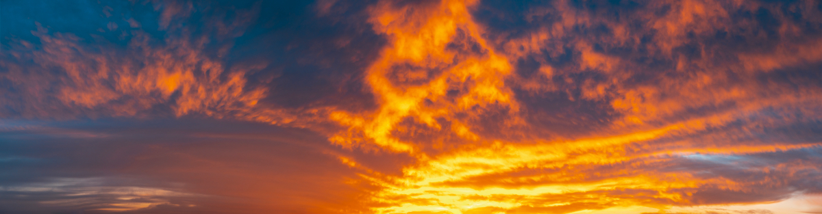 Last Day of Summer | Luminar Marketplace(67)