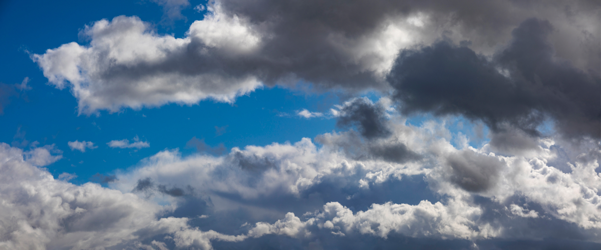 Last Day of Summer | Luminar Marketplace(68)