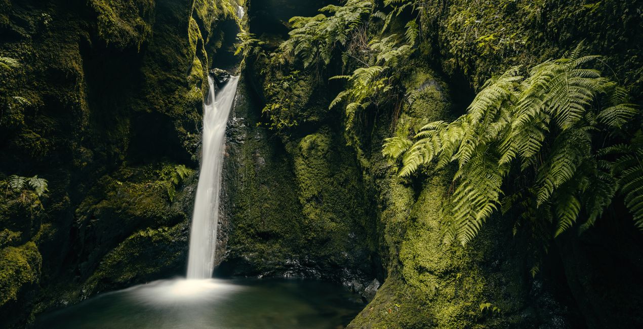 Madeira Calling Presets for Luminar | Marketplace (46)
