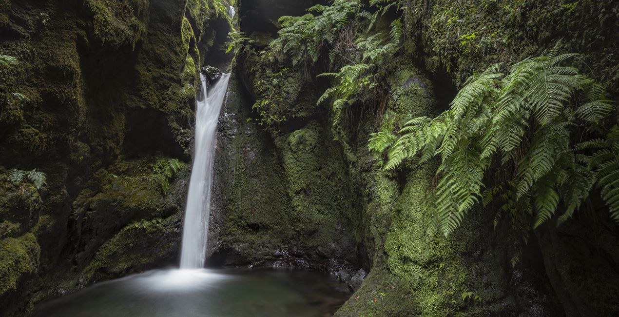 Madeira Calling Presets for Luminar | Marketplace (45)