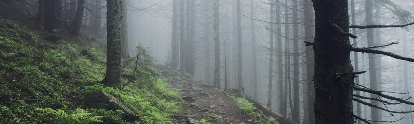 Misty Dawnwood — slide 1