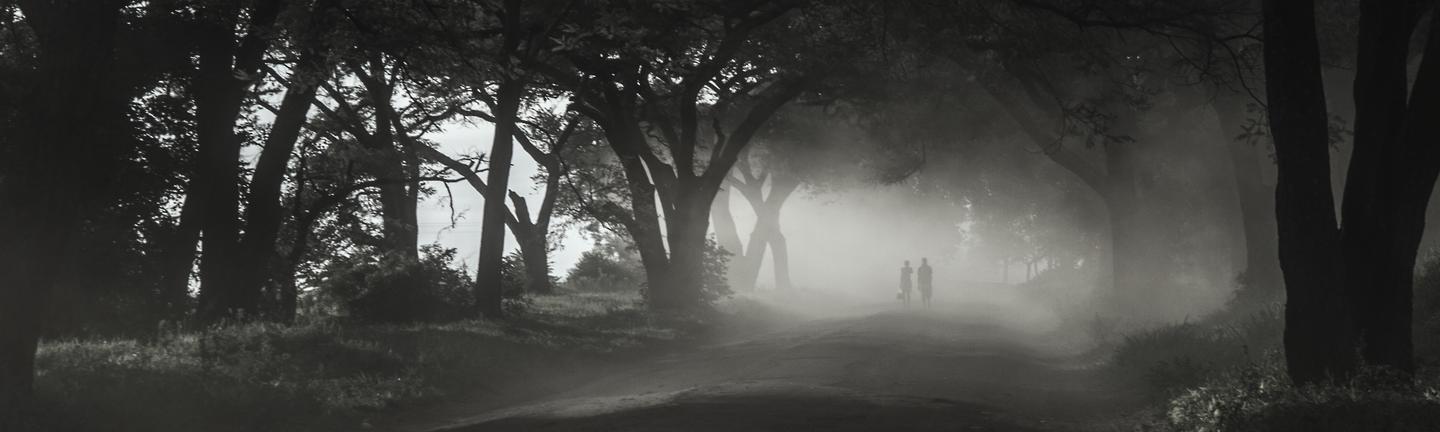 Misty Dawnwood — slide 3