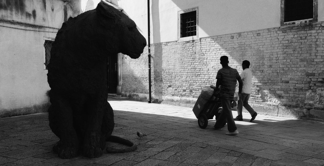 Streets of Venice Presets for Luminar | Marketplace (40)
