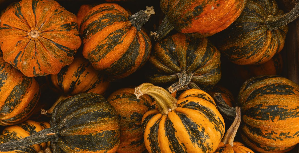 Connecticut Autumn Presets for Luminar | Marketplace (40)