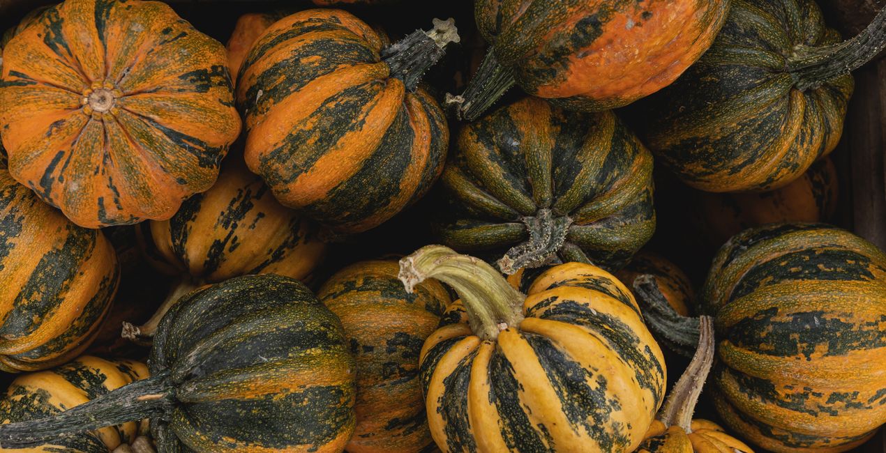 Connecticut Autumn Presets for Luminar | Marketplace (39)