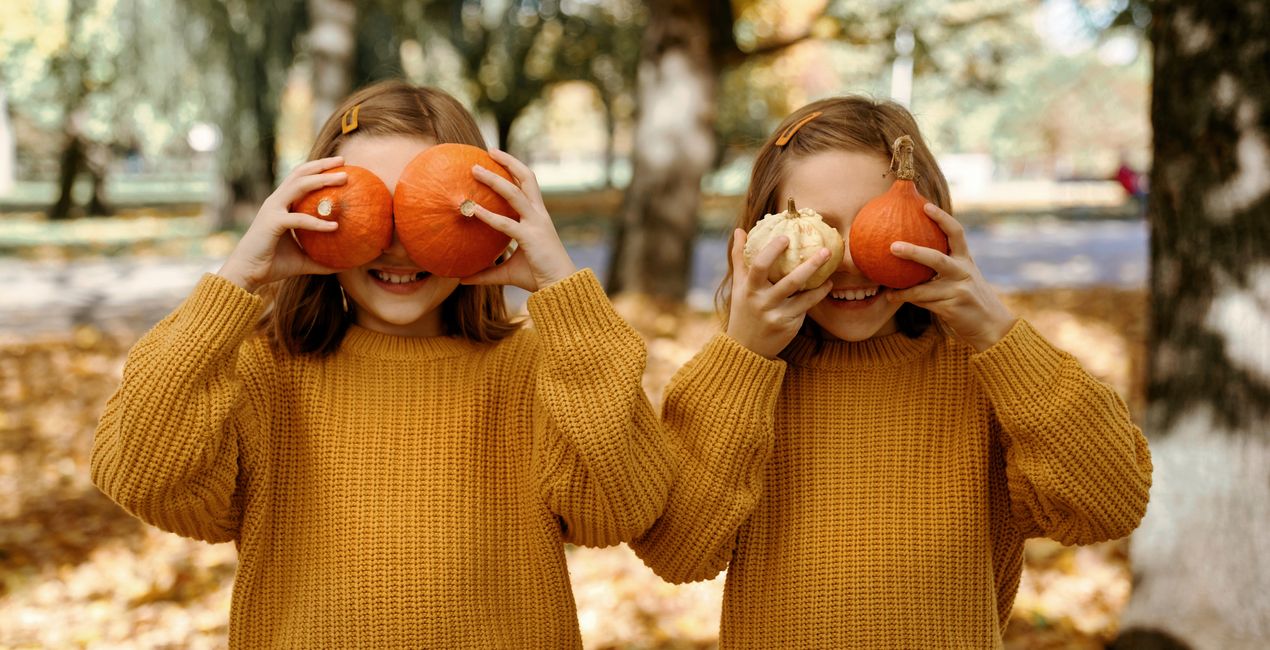 Connecticut Autumn Presets for Luminar | Marketplace (44)