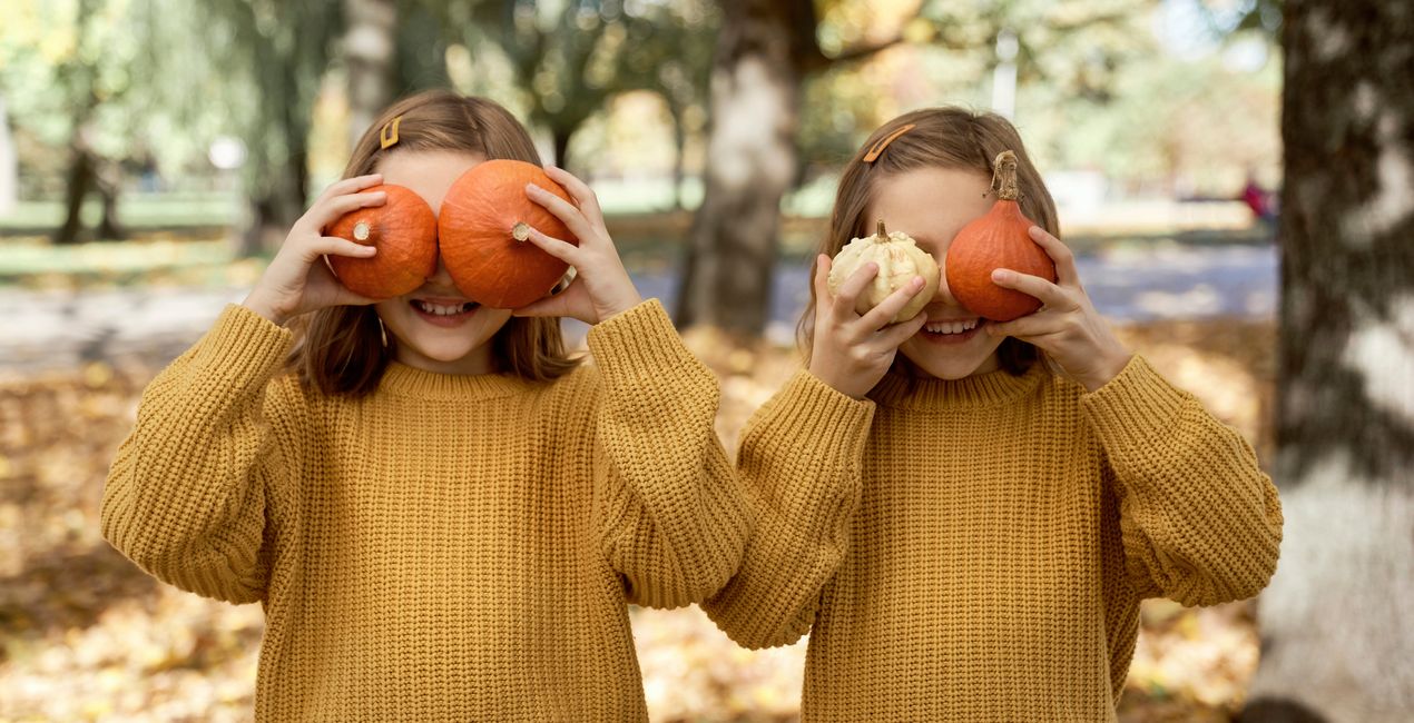 Connecticut Autumn Presets for Luminar | Marketplace (43)