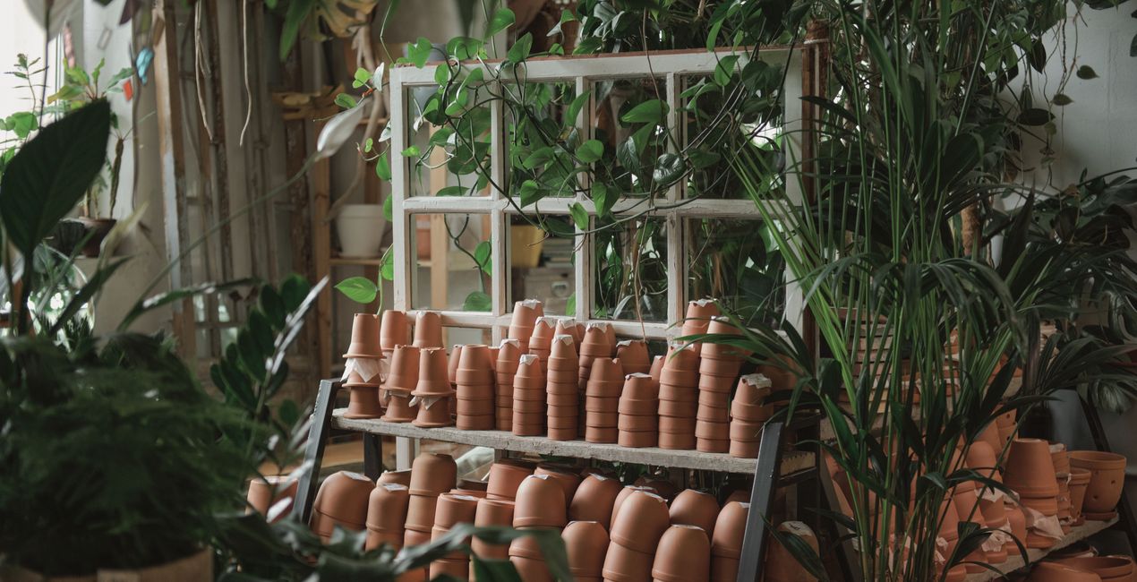 Tonequiet Presets for Luminar | Marketplace (47)